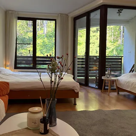 николай желев-първи еоод Daire