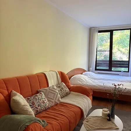 николай желев-първи еоод * Pamporovo